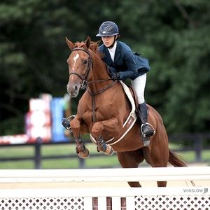 Meet your Posher, Veronica